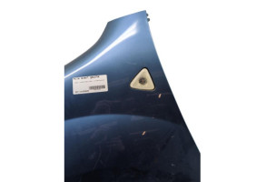 Aile avant gauche RENAULT KANGOO 2 Photo n°6