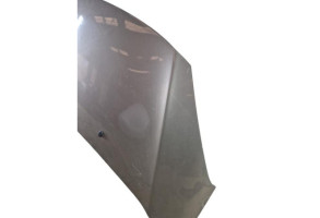 Capot CITROEN DS3 Photo n°6