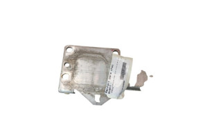 Renfort pare choc avant (traverse) PEUGEOT 308 1 Photo n°9