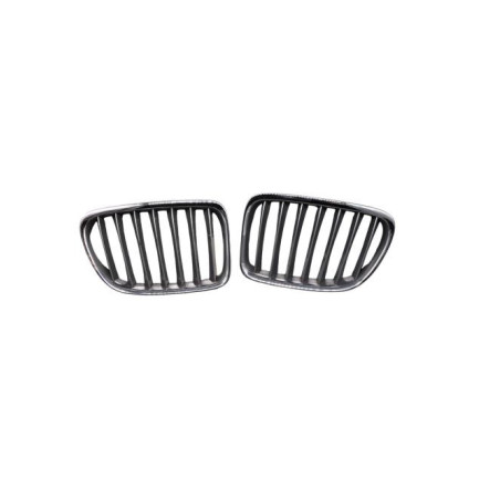 Calandre BMW X1 E84