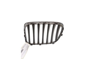 Calandre BMW X1 E84 Photo n°6