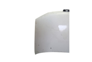 Capot PEUGEOT 306 Photo n°1