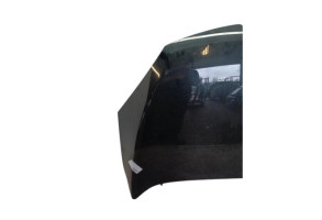 Capot VOLKSWAGEN TIGUAN 1 Photo n°7