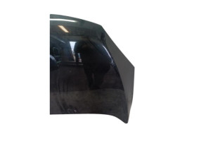 Capot VOLKSWAGEN TIGUAN 1 Photo n°9