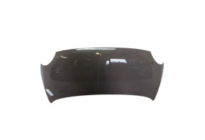 Capot FIAT 500 2 Photo n°2