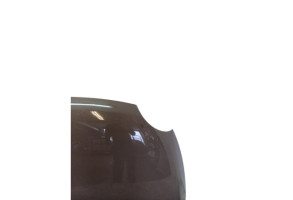 Capot FIAT 500 2 Photo n°3