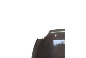 Capot FIAT 500 2 Photo n°8