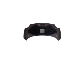 Capot FIAT 500 2 Photo n°10