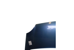 Capot RENAULT KANGOO 2 Photo n°1