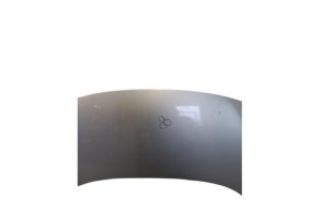 Capot RENAULT SCENIC 3 Photo n°6