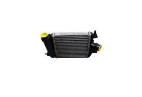 Echangeur air (Intercooler) RENAULT ARKANA Photo n°1