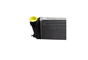 Echangeur air (Intercooler) RENAULT ARKANA Photo n°2