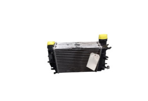 Echangeur air (Intercooler) RENAULT TALISMAN Photo n°2