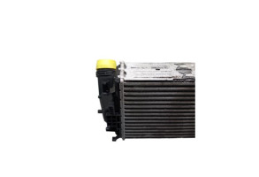 Echangeur air (Intercooler) RENAULT TALISMAN Photo n°4