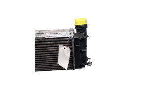 Echangeur air (Intercooler) RENAULT TALISMAN Photo n°6