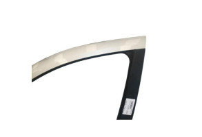 Porte avant gauche RENAULT LAGUNA 2 Photo n°7