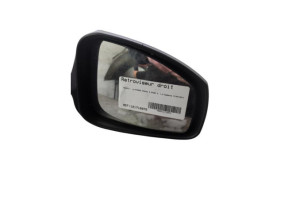 Retroviseur droit RENAULT MEGANE 3 Photo n°1