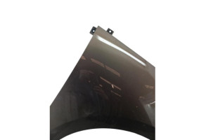 Aile avant droit RENAULT SCENIC 3 Photo n°1