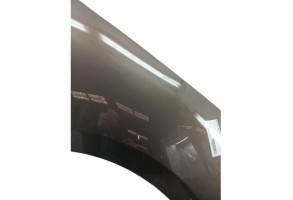 Aile avant droit RENAULT SCENIC 3 Photo n°2