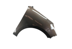 Aile avant droit RENAULT SCENIC 3 Photo n°3