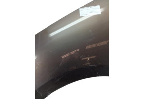 Aile avant gauche RENAULT SCENIC 3 Photo n°6