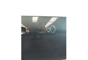 Porte avant droit OPEL INSIGNIA 1 Photo n°3