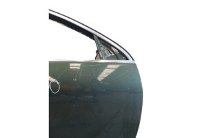 Porte avant droit OPEL INSIGNIA 1 Photo n°5