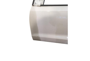 Porte avant gauche VOLKSWAGEN POLO 5 Photo n°8