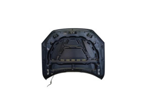 Capot BMW X1 E84 Photo n°1