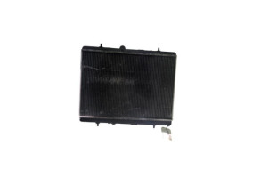 Radiateur eau PEUGEOT 3008 1 Photo n°1