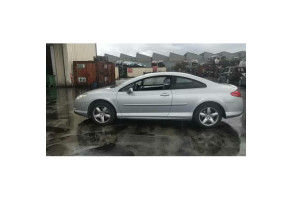 Malle/Hayon arriere PEUGEOT 407 Photo n°16