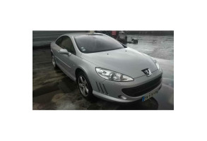 Malle/Hayon arriere PEUGEOT 407 Photo n°17