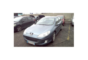 Malle/Hayon arriere PEUGEOT 407 Photo n°8
