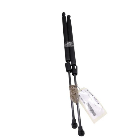 Verin de coffre DACIA LODGY