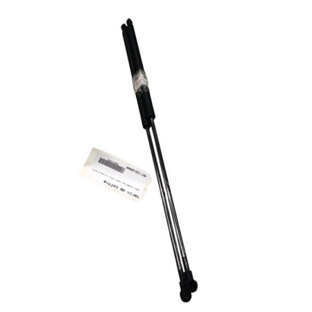 Verin de coffre NISSAN JUKE 1