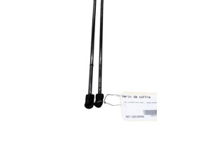 Verin de coffre FORD C-MAX 2 Photo n°4