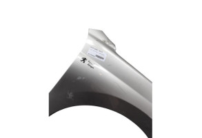 Aile avant droit PEUGEOT 207 Photo n°1