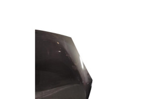 Capot RENAULT SCENIC 3 Photo n°2