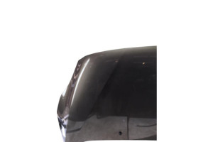 Capot FORD C-MAX 2 Photo n°1