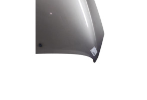 Capot PEUGEOT 207 Photo n°1