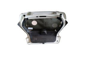 Malle/Hayon arriere NISSAN JUKE 1 Photo n°7