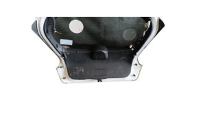 Malle/Hayon arriere NISSAN JUKE 1 Photo n°8