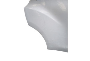 Porte arriere droit NISSAN JUKE 1 Photo n°10