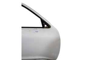 Porte avant droit NISSAN JUKE 1 Photo n°1