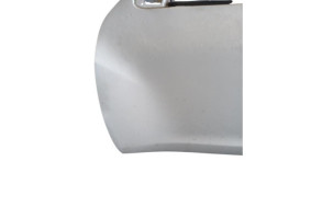 Porte avant gauche NISSAN JUKE 1 Photo n°8