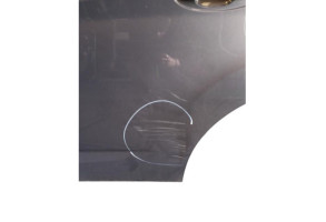 Porte arriere gauche FORD C-MAX 2 Photo n°4