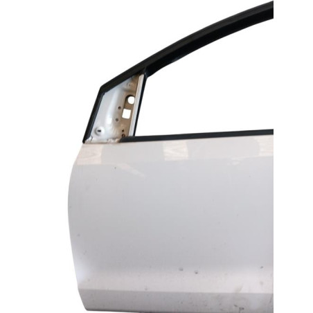 Porte avant gauche VOLKSWAGEN POLO 5