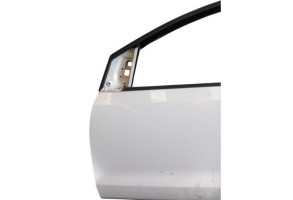 Porte avant gauche VOLKSWAGEN POLO 5 Photo n°1