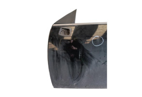 Porte avant gauche RENAULT MEGANE 3 Photo n°2