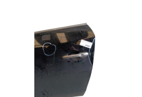 Porte avant gauche RENAULT MEGANE 3 Photo n°10